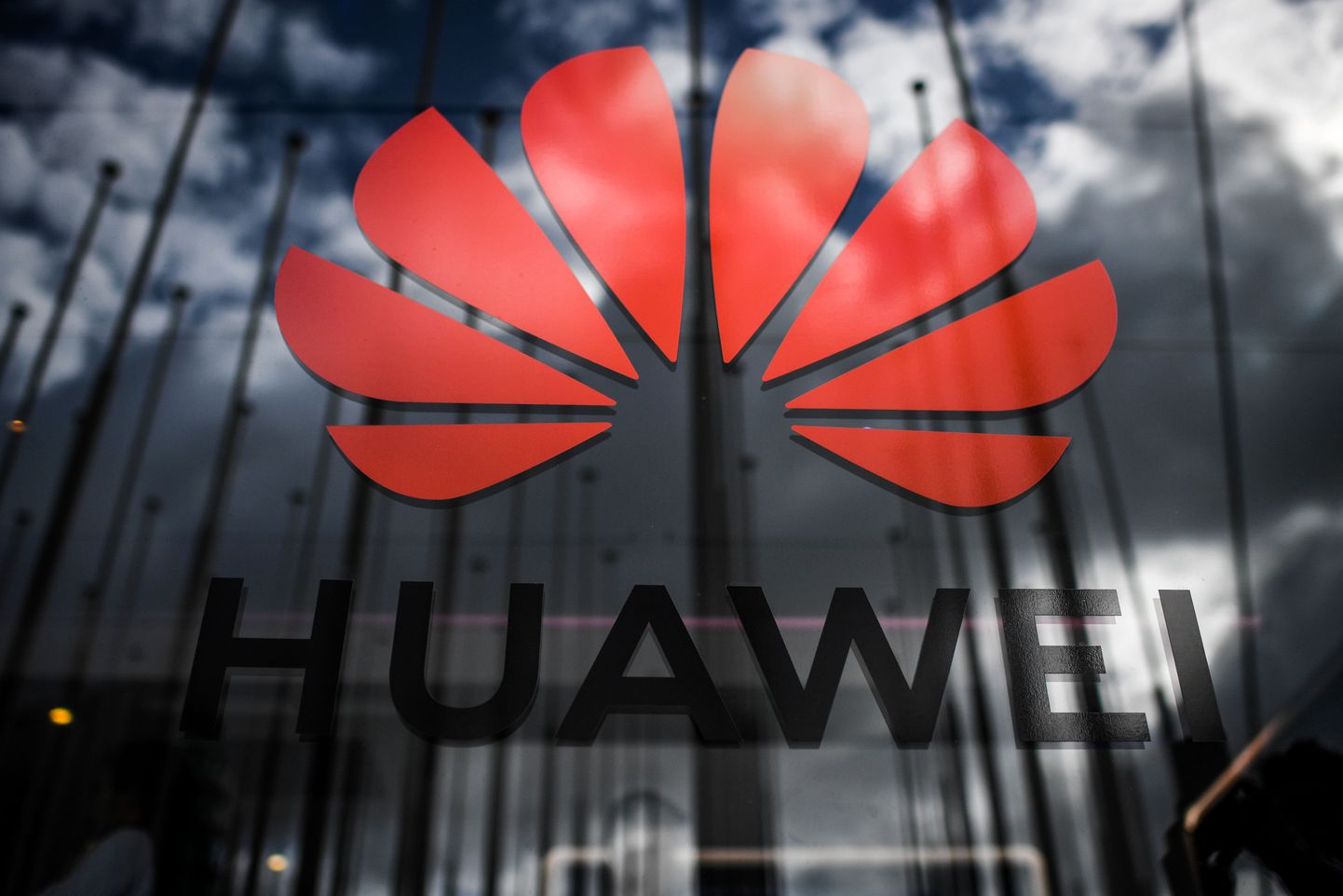 "Huawei" logotips.