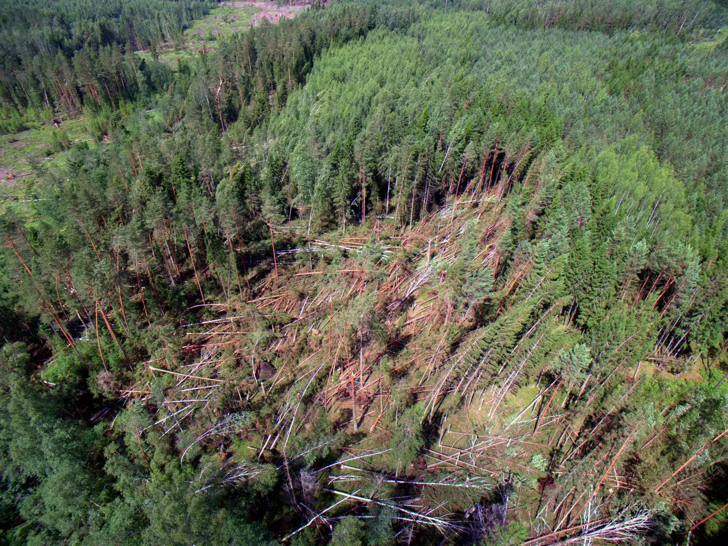 Aerofoto päev pärast tormi Karula vallas