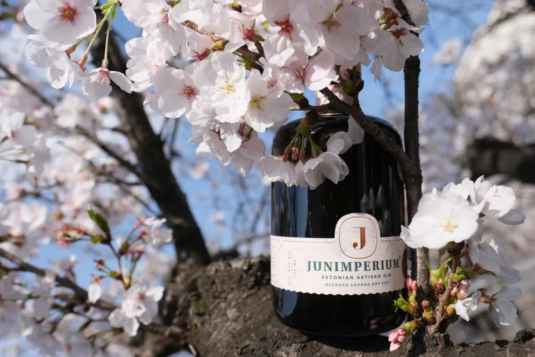 Junimperiumi käsitöödžinn.