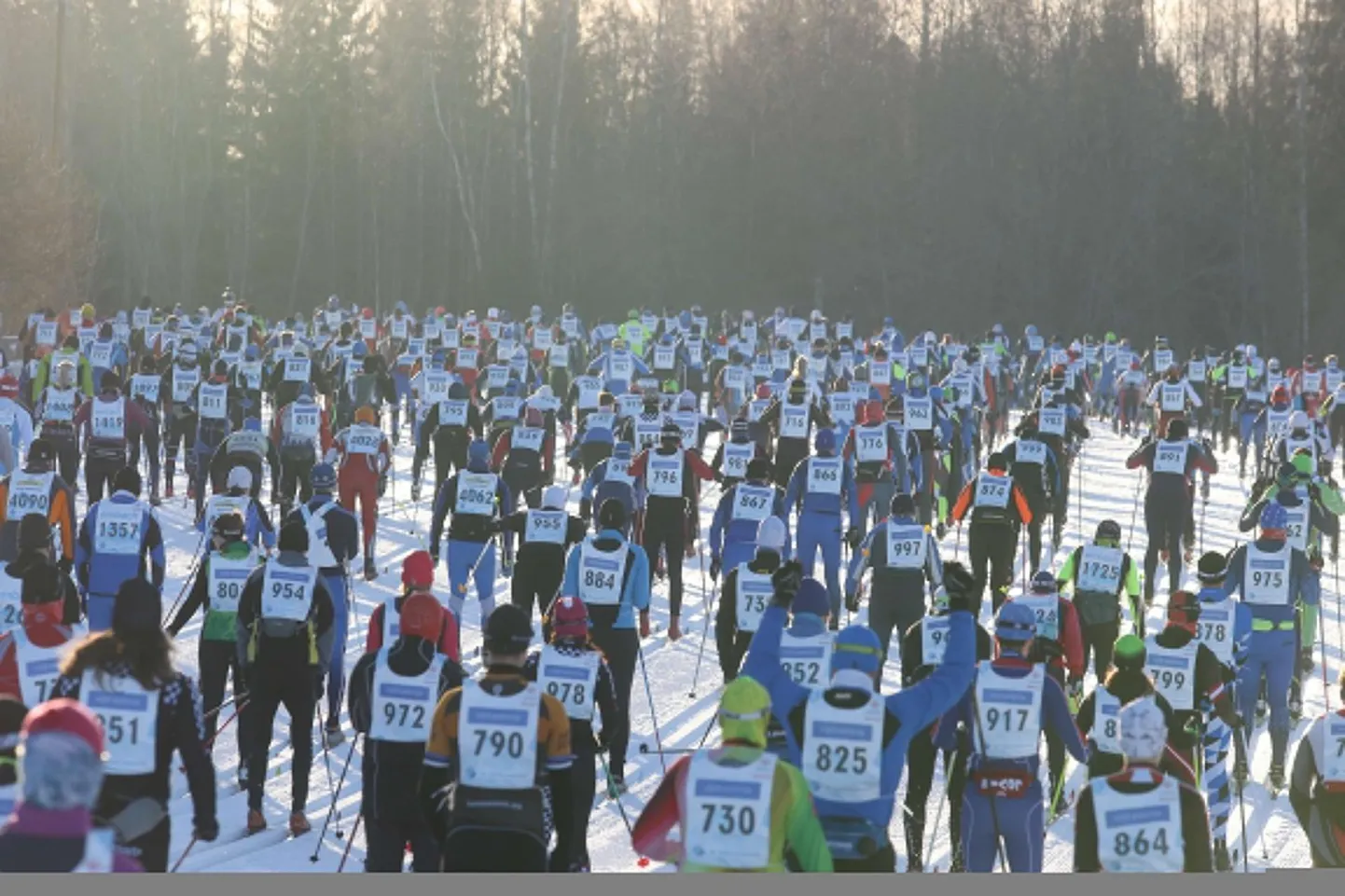 Tartu maraton