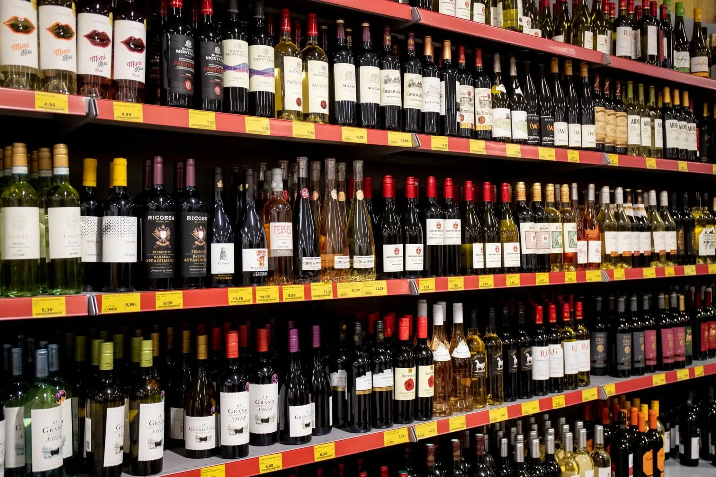 Alkohol. Pilt on illustratiivne.