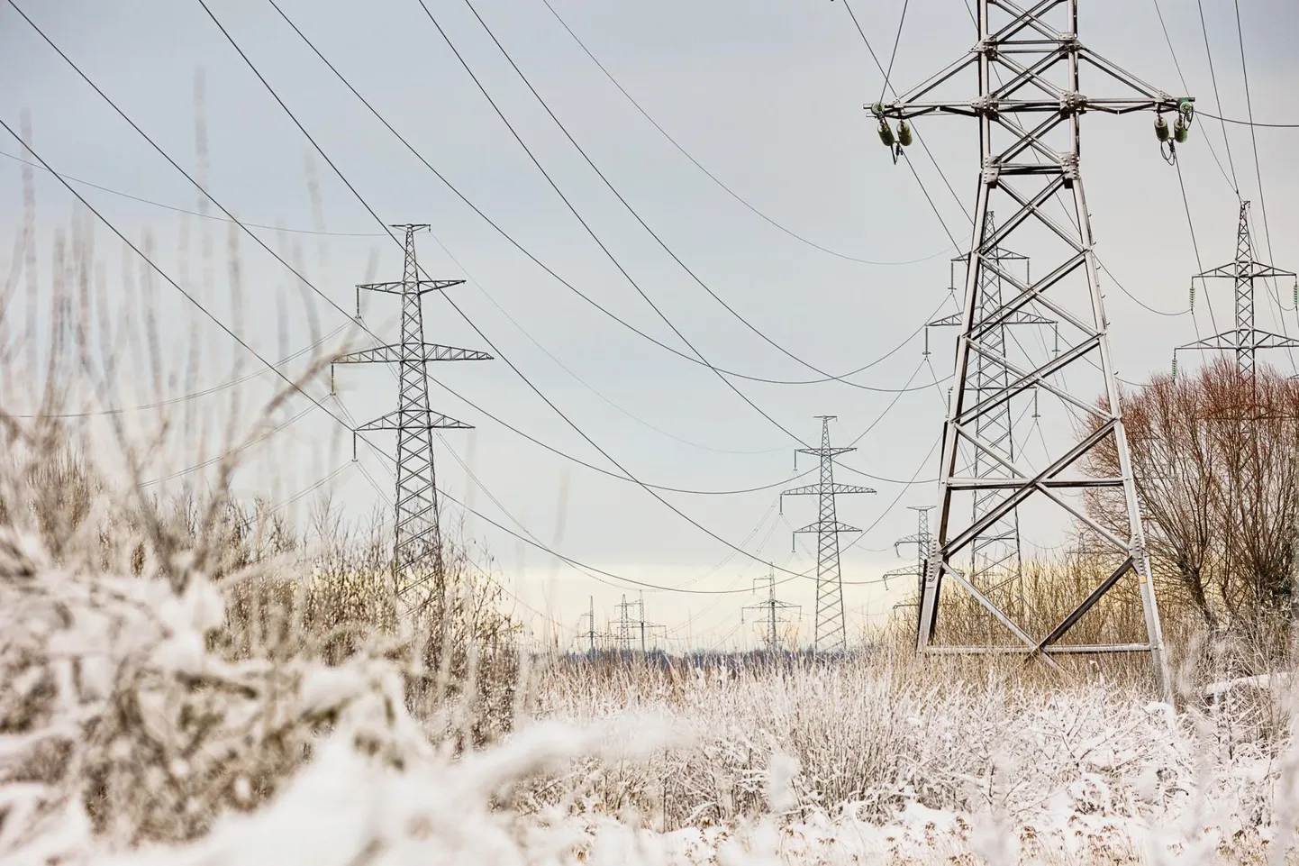 Venemaalt Eestisse tulevad elektriliinid Narvas.