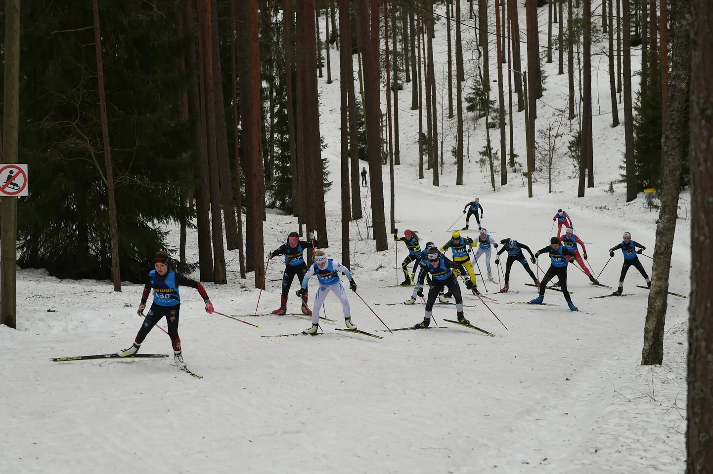 Alutagusel tõmmati joon alla Alexela noorte suusasarja hooajale.