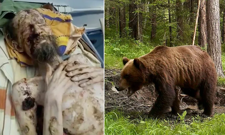 Siberis Tõvas sattus mees väidetavalt karu saagiks ja metsloom hoidis teda oma koopas toidutagavarana