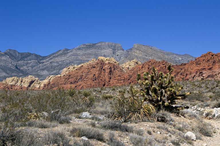 Nevada maastik