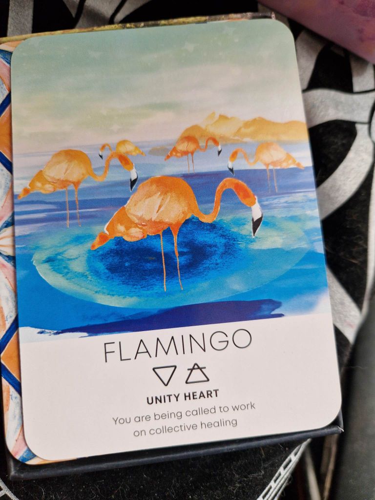 Oraaklikaart Flamingo rõhutab ühtsusteadvust ja ütleb, et on aeg töötada kollektiivse tervenemise nimel. 