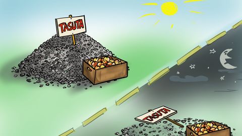 NÄDALA KARIKATUUR ⟩ Aiasaaduste üleküllus
