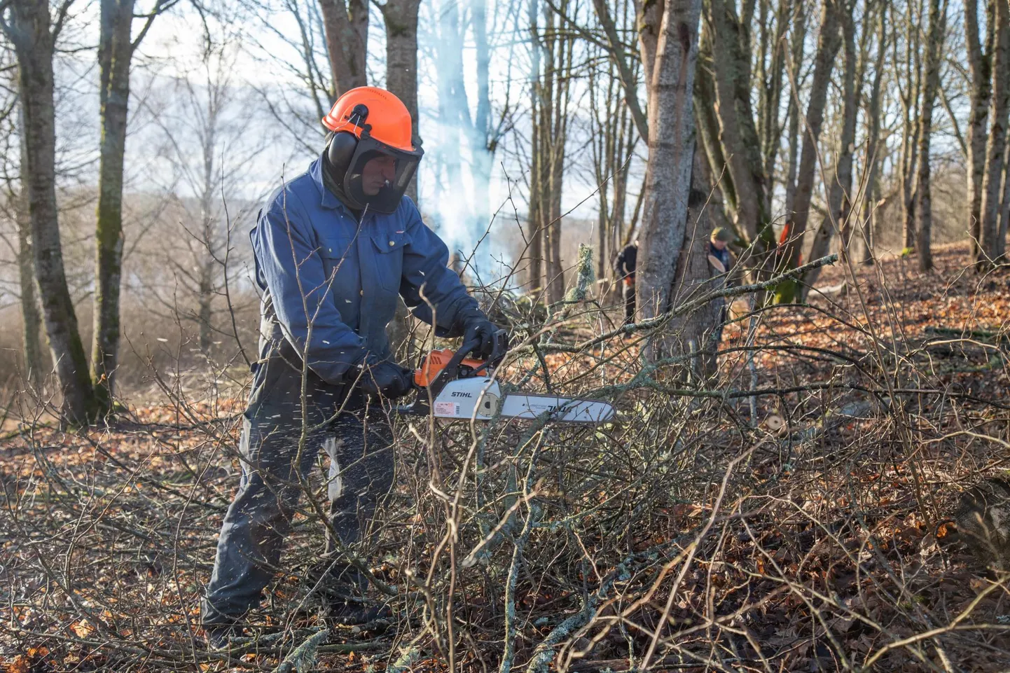 Viljandi Linnahoolduse töömehed võitlevad võsaga terviseraja ja järve vahel.