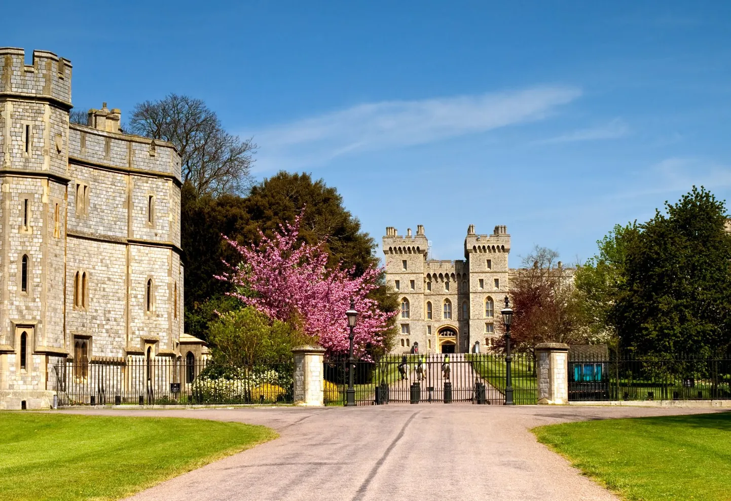 Windsori loss.