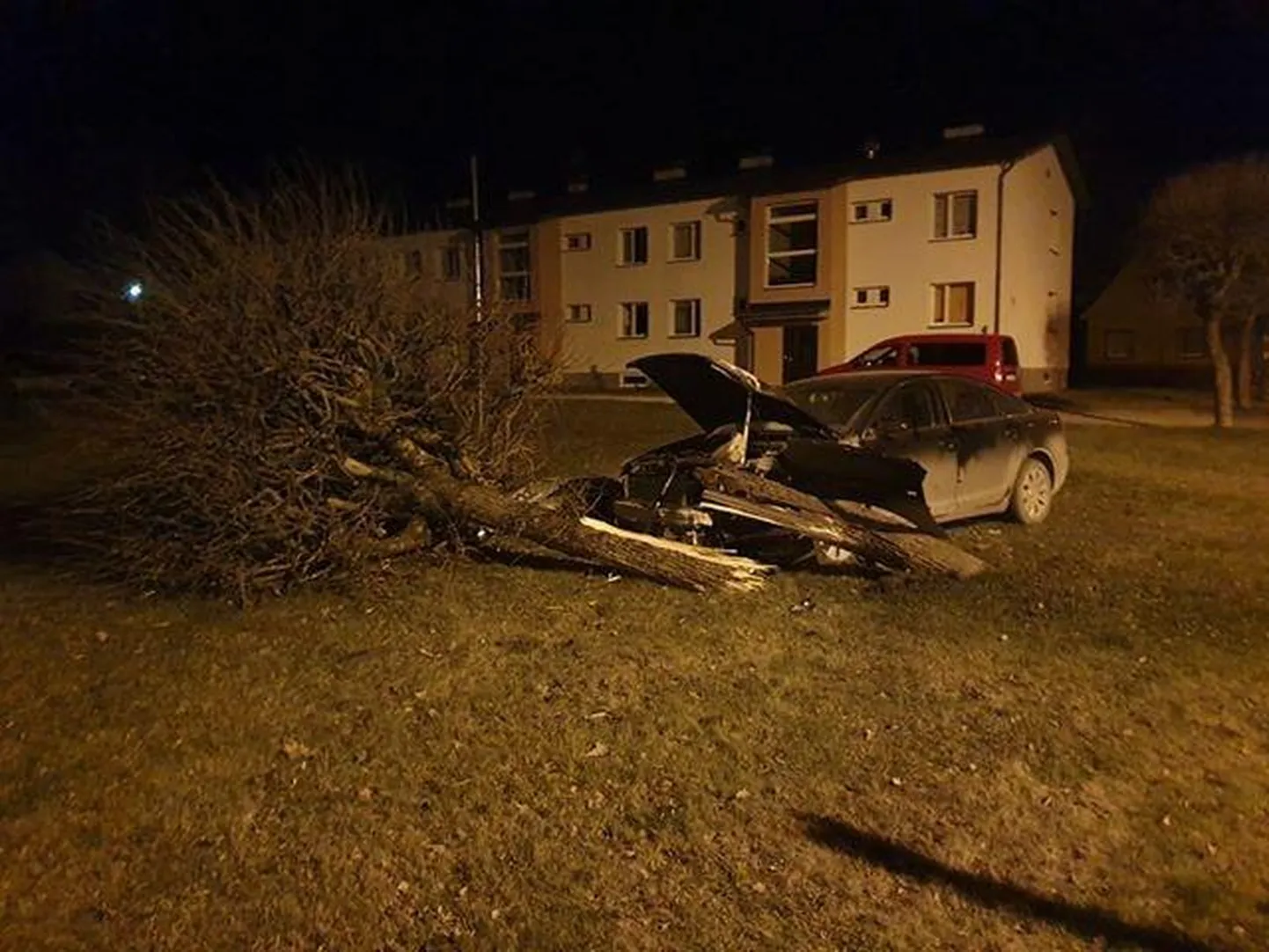 В Тырва автомобиль снес дерево.