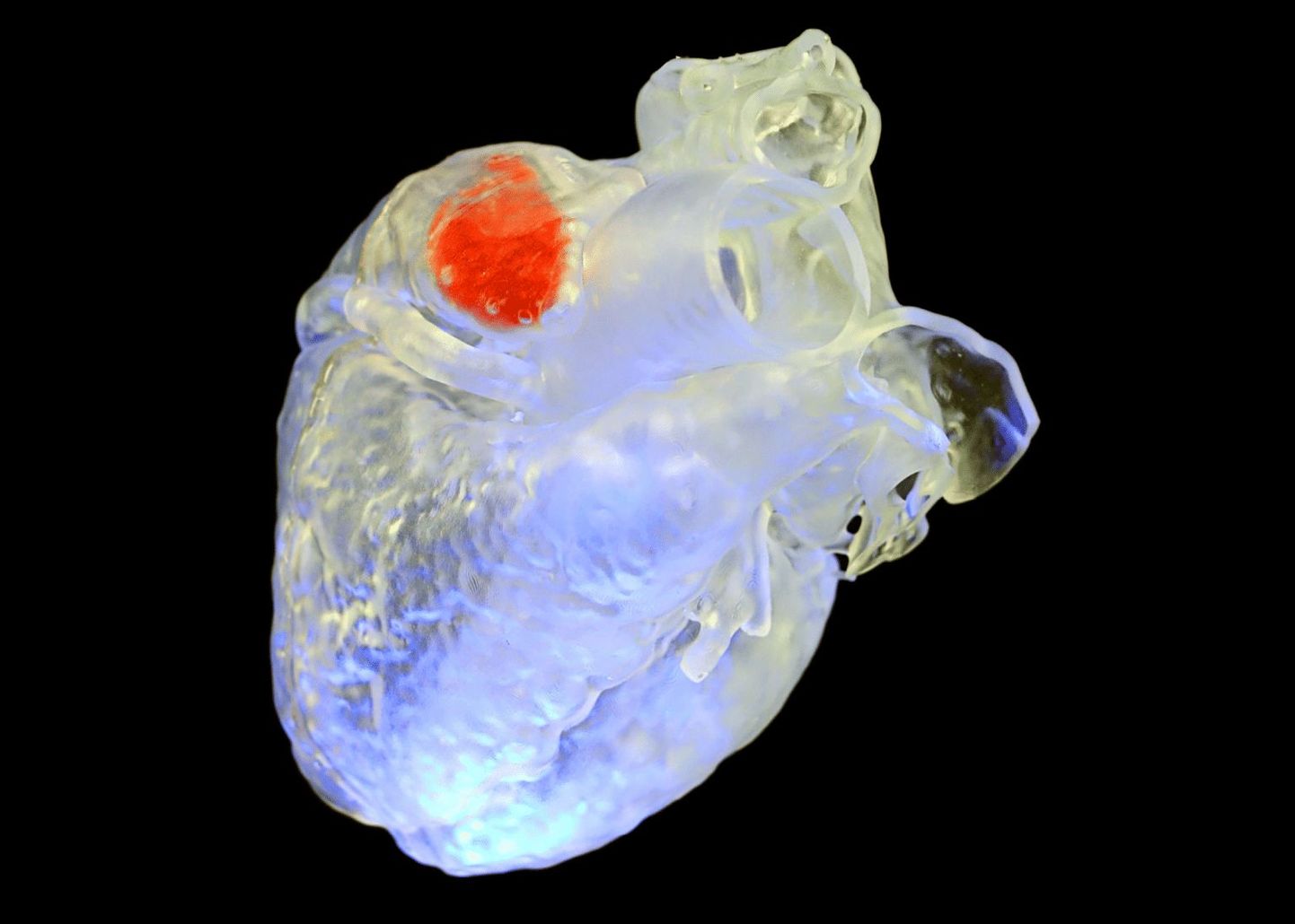 Katses õnnestus 3D ultraheliprinteriga eemalt mõjutades ka südame kude parandada.