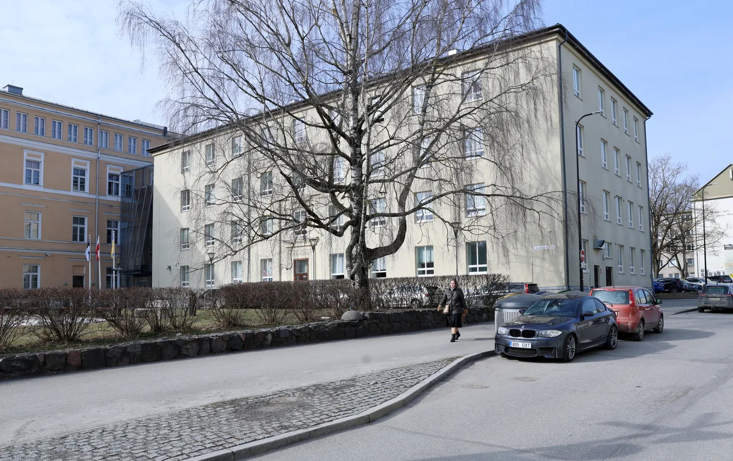 Herbert Masingu koolis õpivad hariduslike erivajadustega lapsed, seal töötab 145 inimest. Väidetavalt vohab koolis töökius.