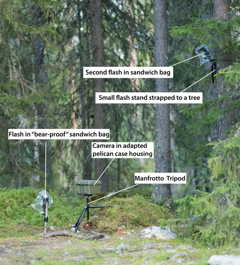 Will Nichollsi kaamerad Soome metsas