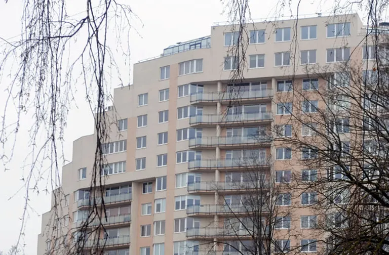 Фото статьи