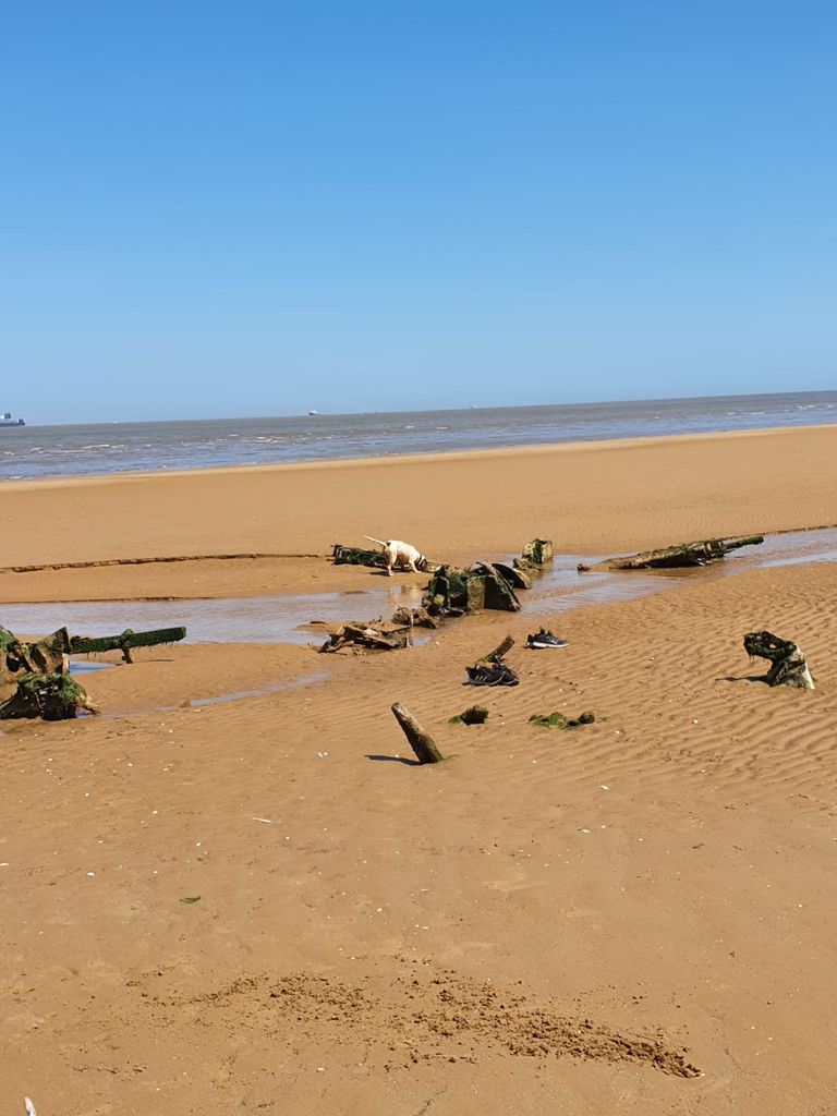 Suurbritannia Kirde-Lincolnshire'i Cleethorpesi rannalt leiti Teise maailmasõja aegne sõjalennuk Bristol Beaufighter