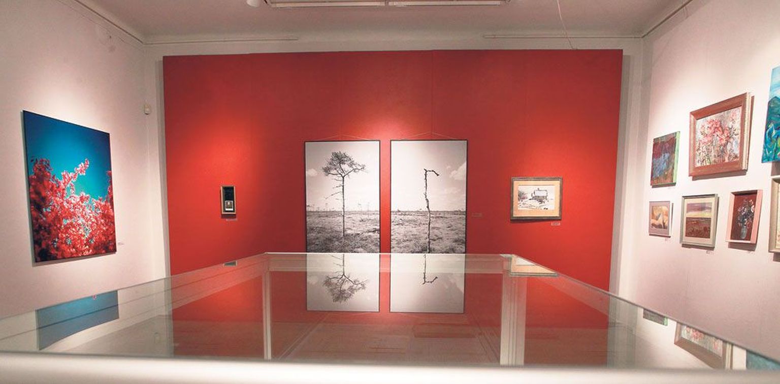 Otsaseinal domineerib Madis Katzi paaristeos «Nimetamata puu nr 1, 2», esiplaanil on osa Martiini installatsioonist «Unustatud töökojast».