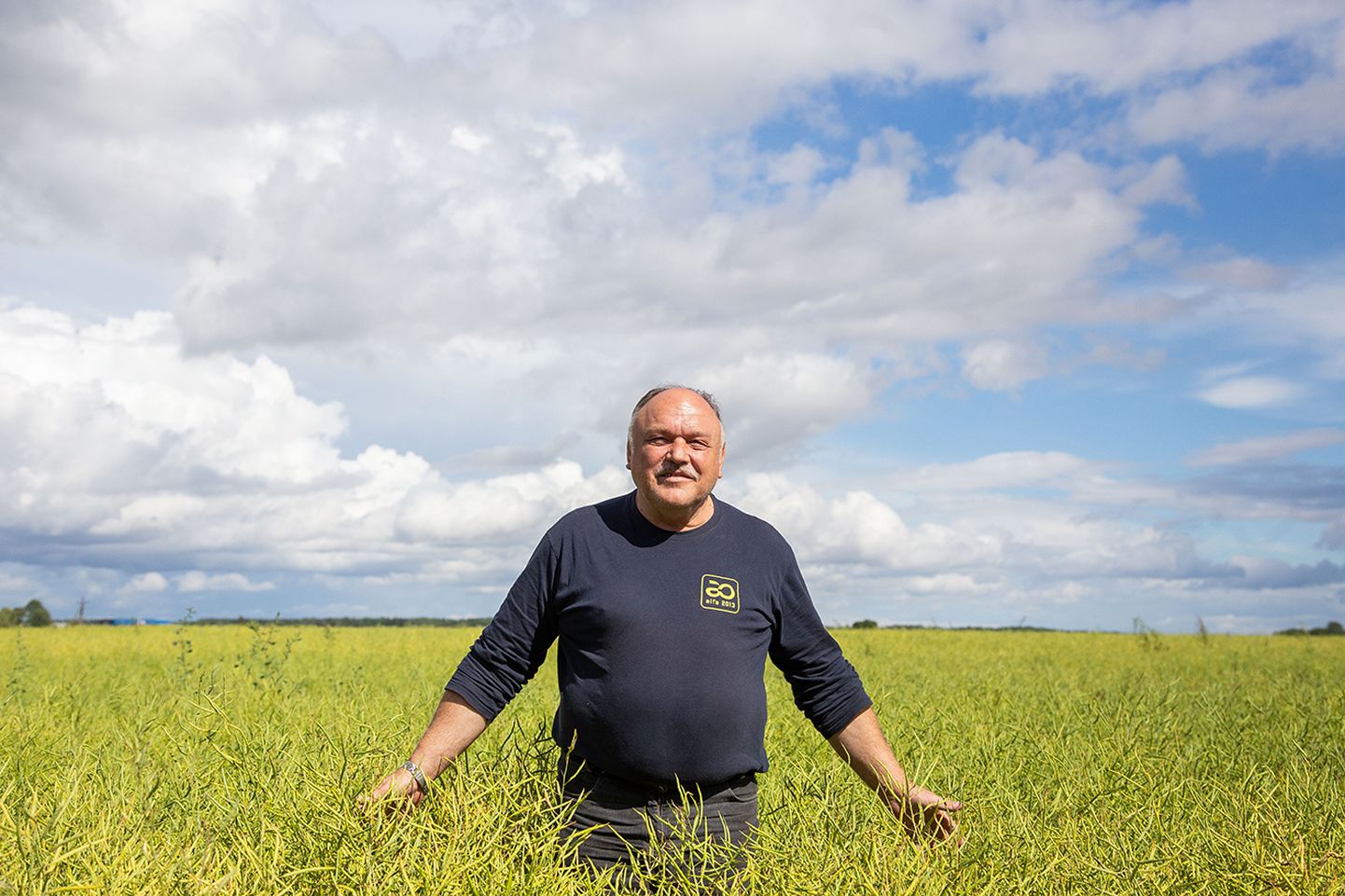OÜ Rebruk Farmi agronoom Einar Lepiste loodab, et umbes kolme nädala pärast valmiv suviraps annab saaki kolm tonni hektarilt.