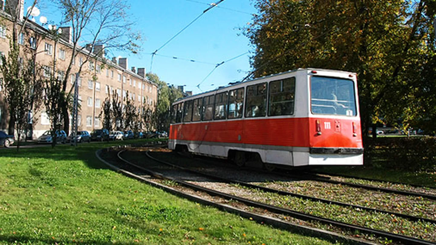 Raksta foto