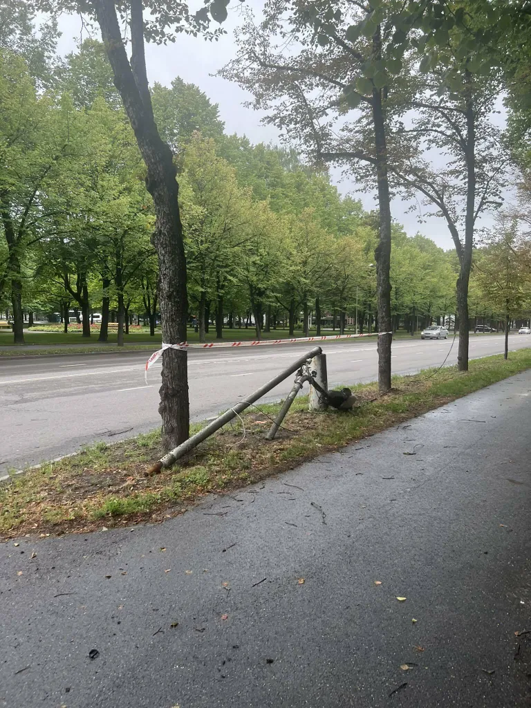 Фото статьи