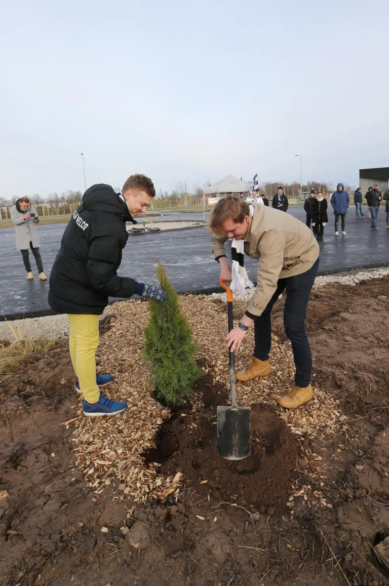 JK Welco tegevjuht Edgar Leht (vasakul) ja staadioniprojekti juht Mart Raamat istutasid reedel Raadile rajatava staadioni juurde elupuu.