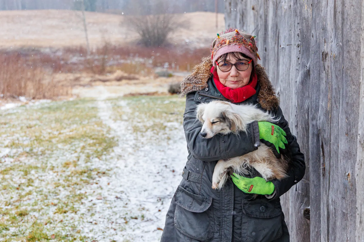 Perenaine Helgi Kuusik hoiab süles oma koera selle sama puukuuri juures, kus hunt tema lemmiklooma ründas. Üheksa-aastane koer Panda sai raskelt viga ja käib nüüd loomaarstide vahet.