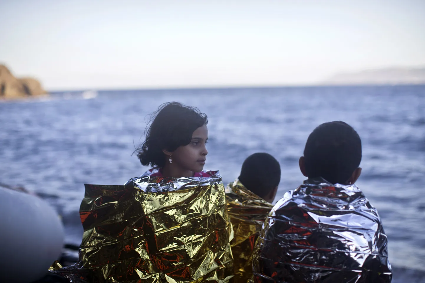 Migrandid.