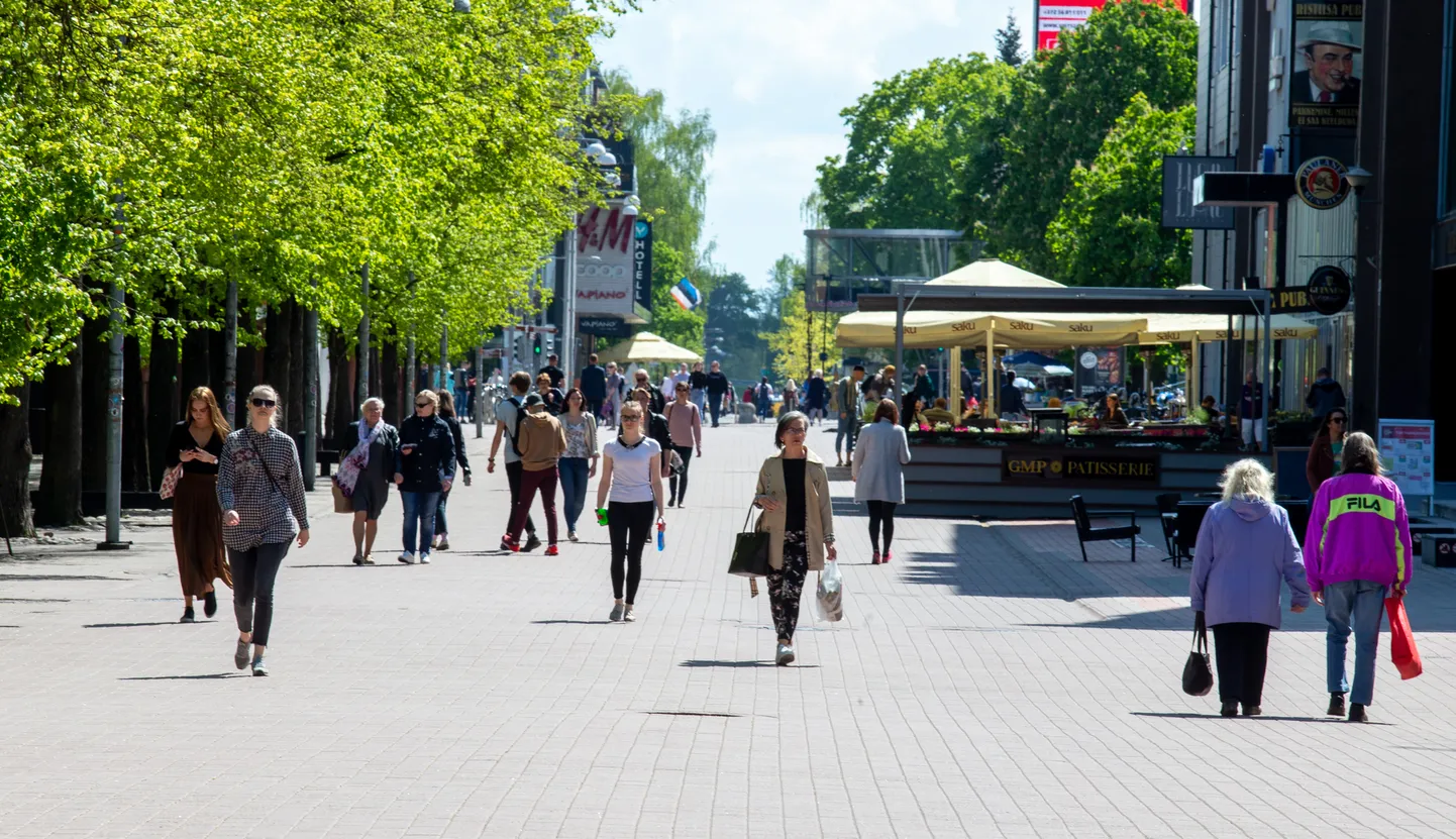 Pildil Tartu kesklinn. Suurtest puudest on linnas kasu kuumuse ja päikese eest varju pakkumiseks. Õhusaaste seisukohalt on suurte puude kasutegur väiksem, kuna suured puud takistavad saaste hajumist.