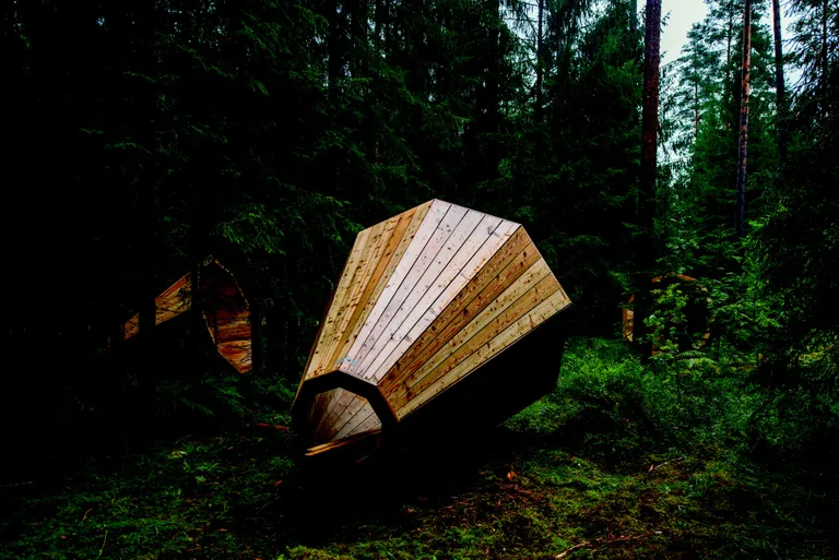 EKA sisearhitektuuri tudengi Birgit Õiguse metsainstallatsioon "Ruup" 2015. / Tõnu Tunnel, Eesti Kunstiakadeemia