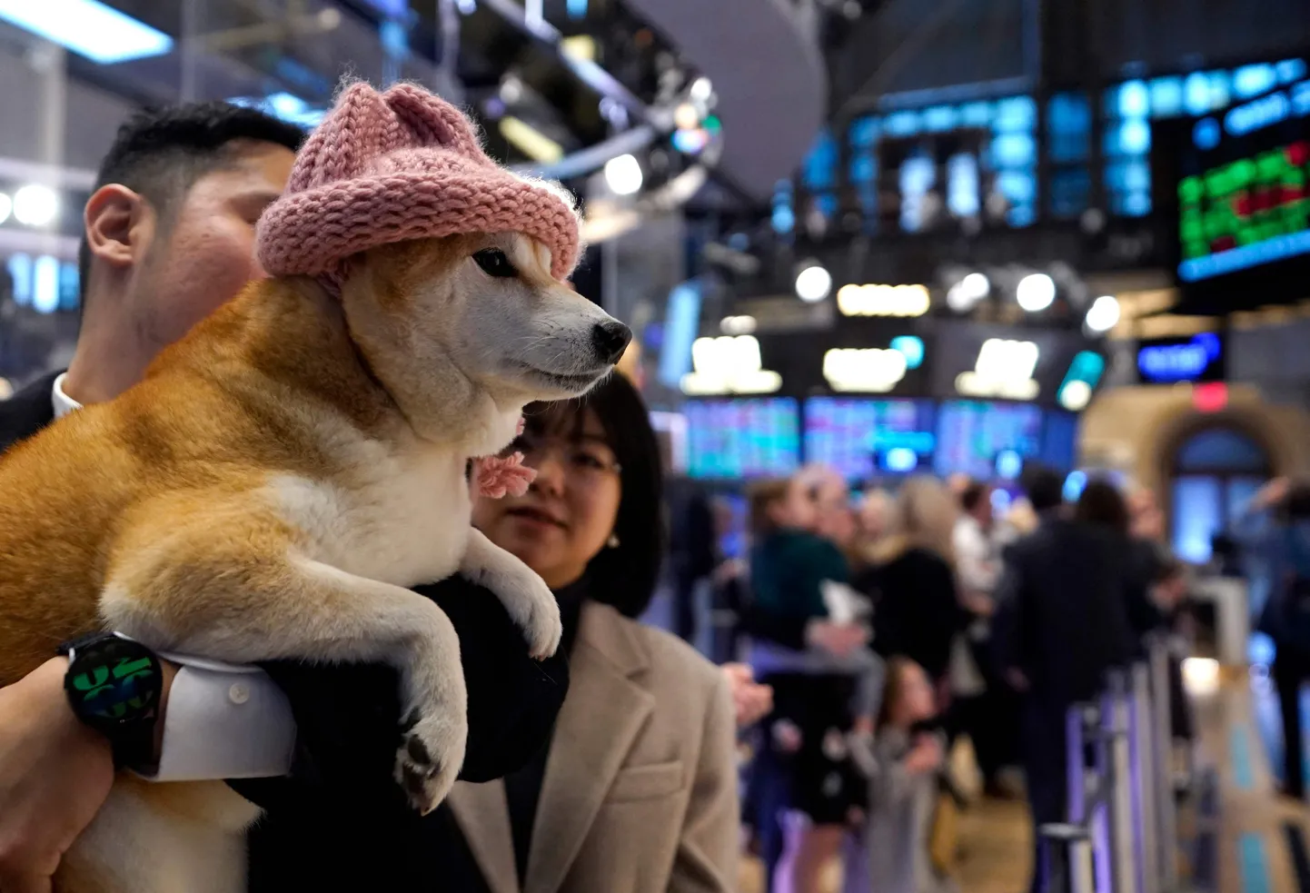 Dogwifhat (WIF) on Solana plokiahelal põhinev koerateemaline meemimünt, mis tuli turule 2023. aasta novembris. Selle maskotiks on kootud mütsi kandev Shiba Inu nimega Achi.