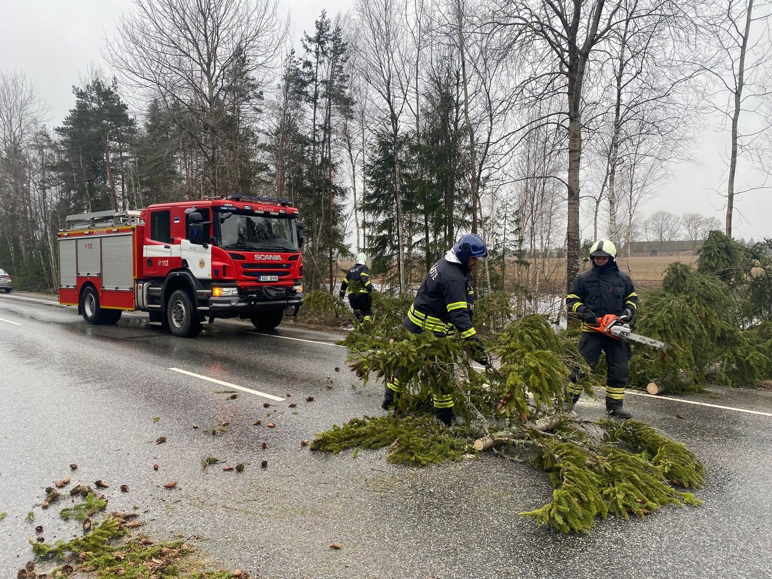 Tormiga maha kukkunud kuusk Pärnu-Rakvere maanteel Roosna-Alliku kandis.