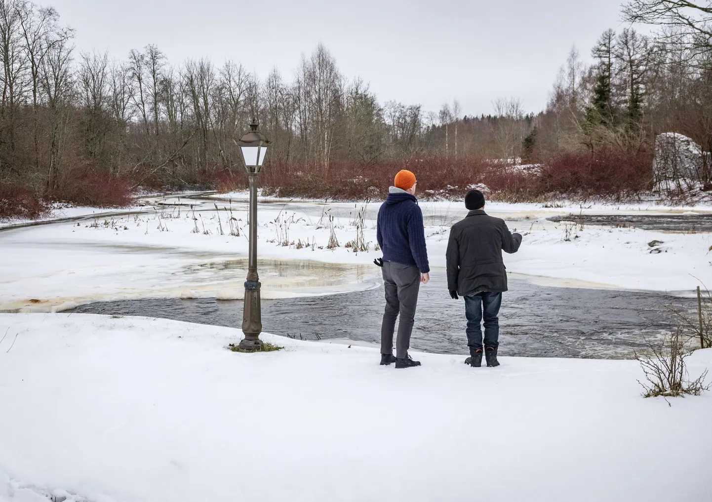 Kõnealune tiik Raplamaal, kust mingid käivad pererahva meelehärmiks pidevalt einet võtmas.