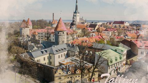Фотоохота, ориентирование или экскурсия: чем заняться на День Таллинна