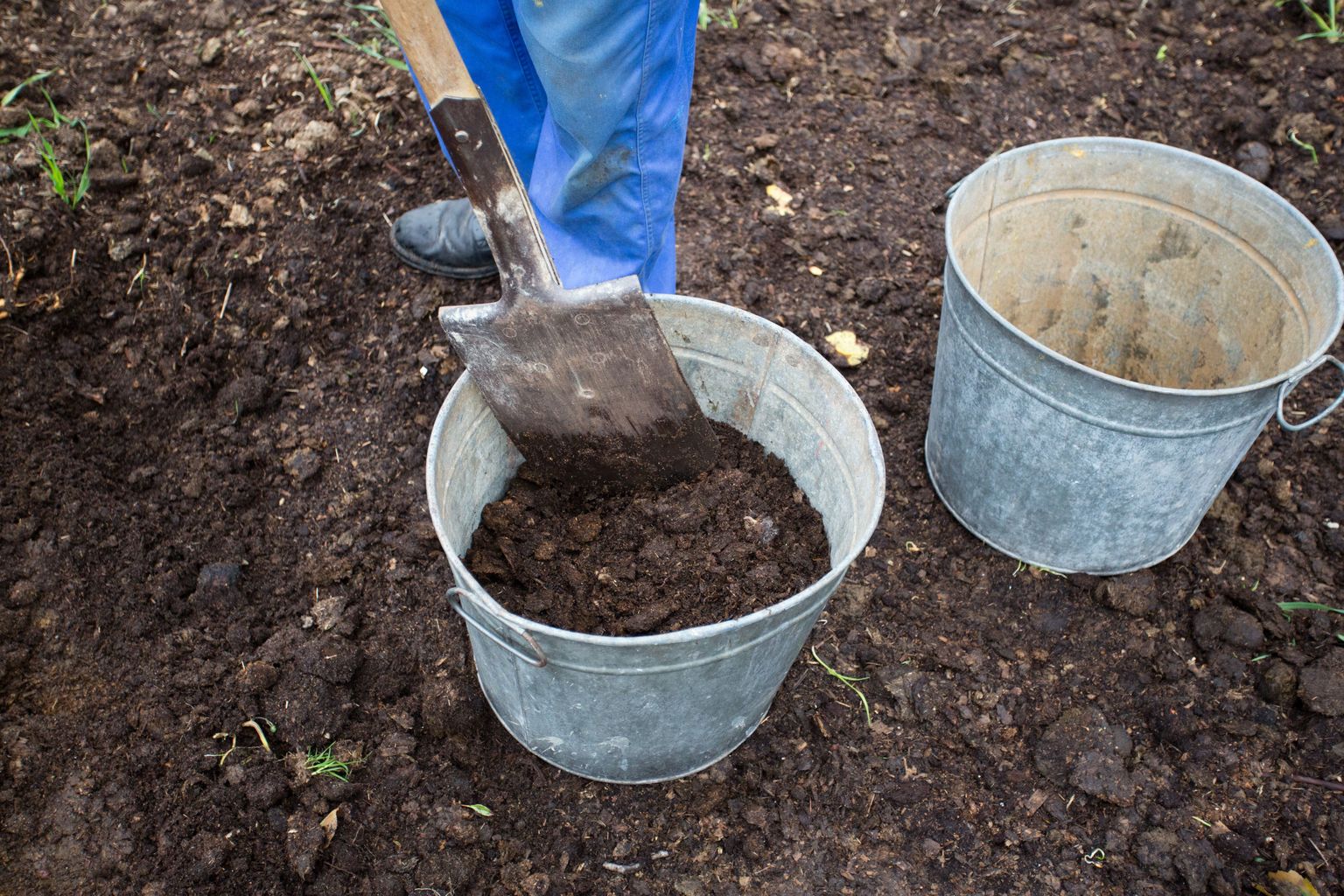 Puulehtede maasse kaevamisel tuleks arvestada, et lehed seovad palju lämmastikku, seetõttu tuleb seda vajadusel juurde anda.