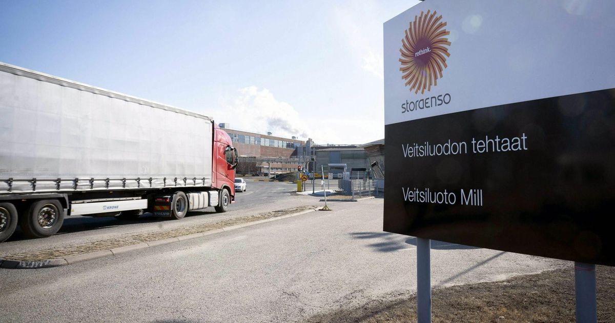 Postomee metsä group - Postimees: Värsked uudised Eestist ja välismaalt