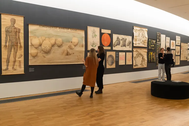 Näitus Kunst või teadus.