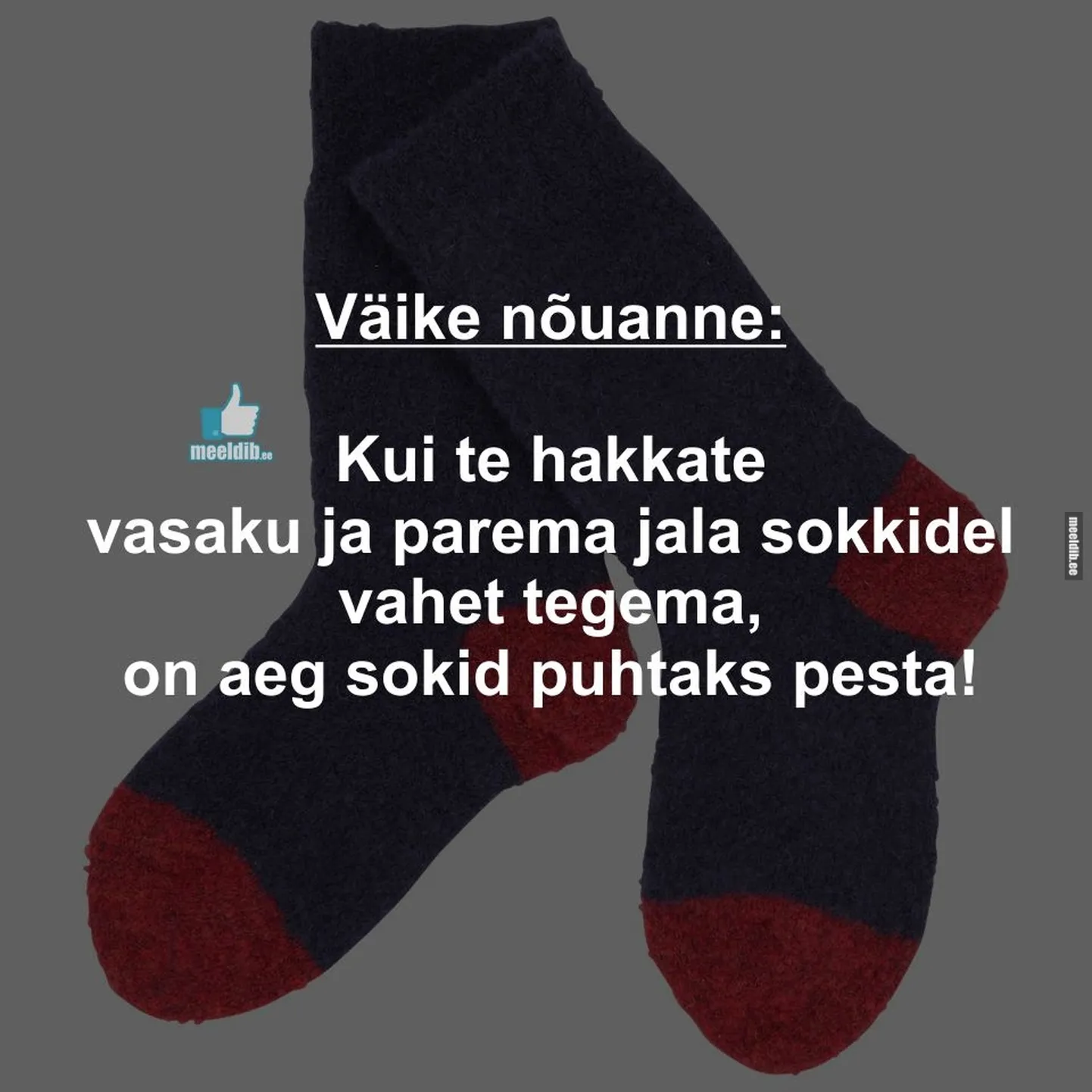 Artikli foto