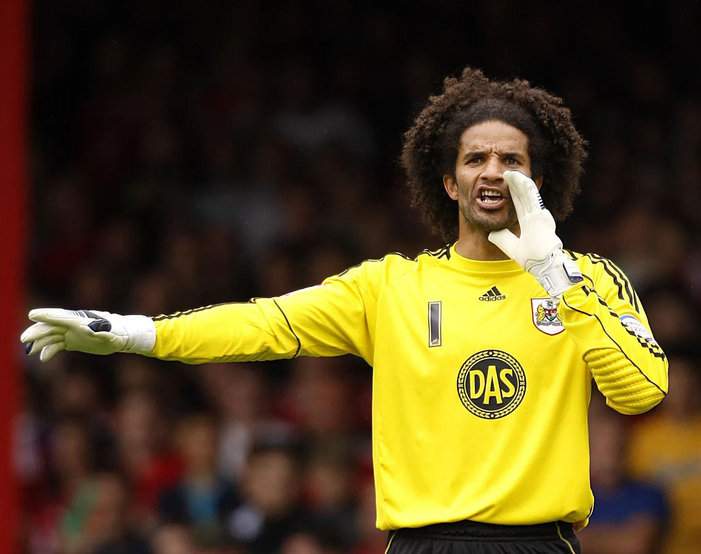 David James