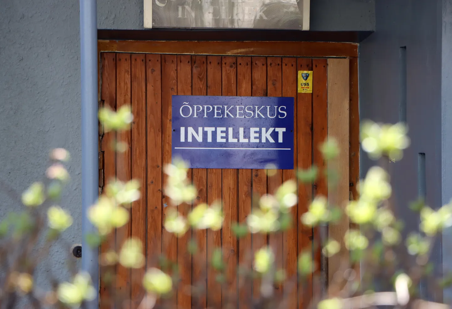 Õppekeskuse Intellekt teenust pakutakse nii Kohtla-Järvel kui Tallinnas.