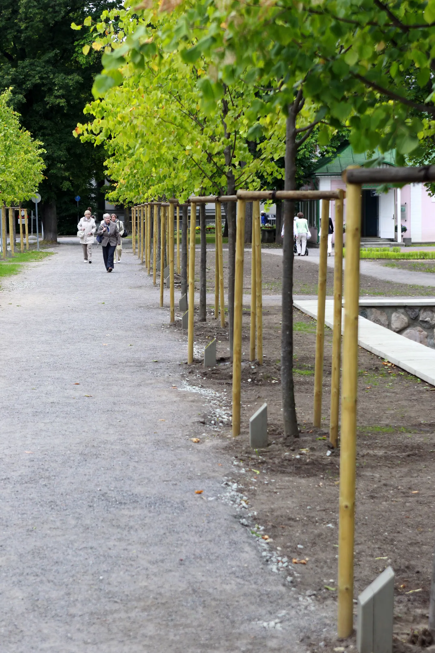 Kadrioru Seltsi kaasabil Weizenbergi tänava äärde istutatud pärnaallee puude juures on tahvlikesed toetajate nimedega.
