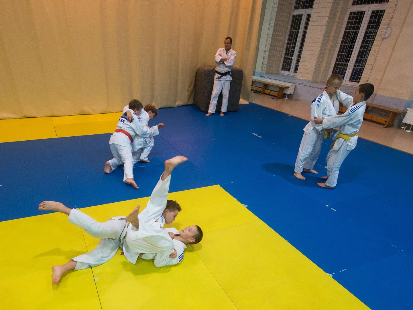 Judo. Pilt on illustratiivne.