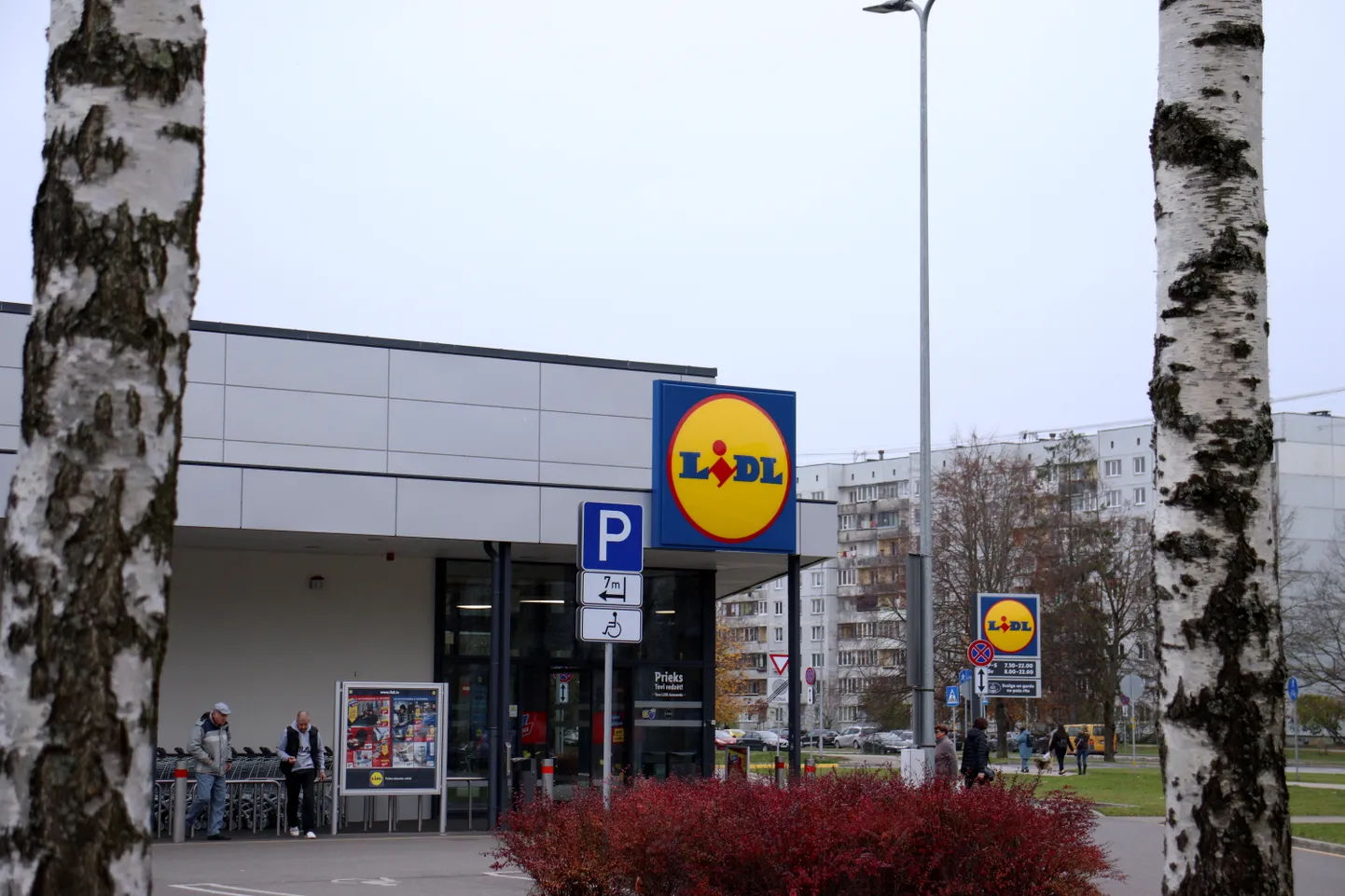 "Lidl" Imantā.