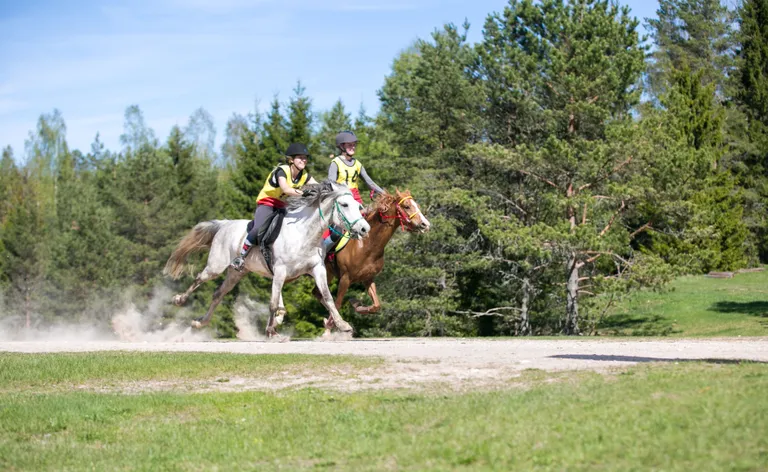 Heitlus juunioride hõbedale ja pronksile käis viimase hetkeni välja.