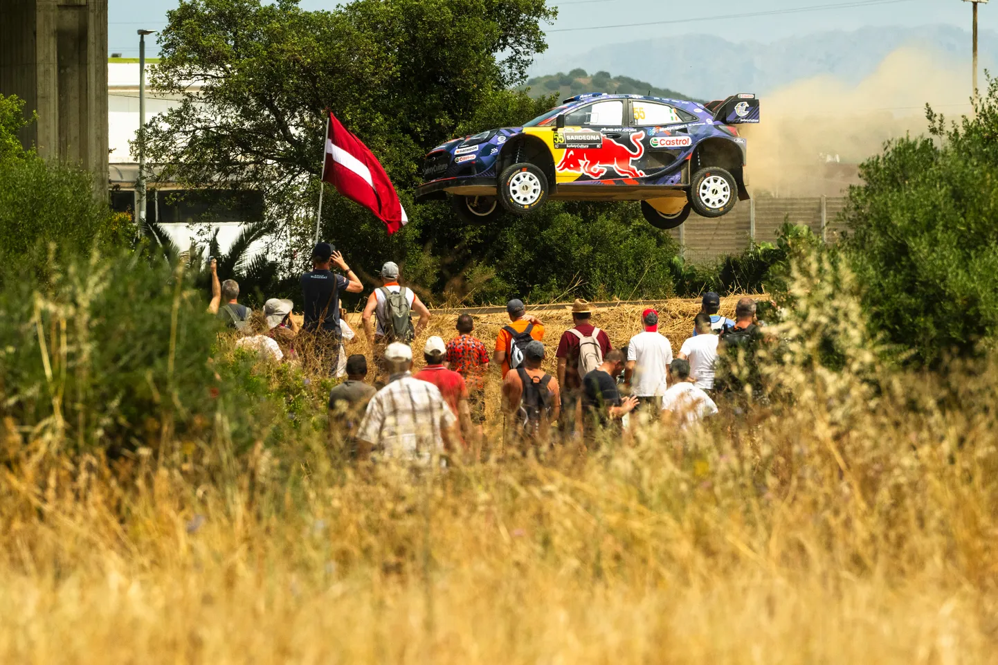 Josh McErlean Ford Puma Rally1-autoga Sardiinia rallil.