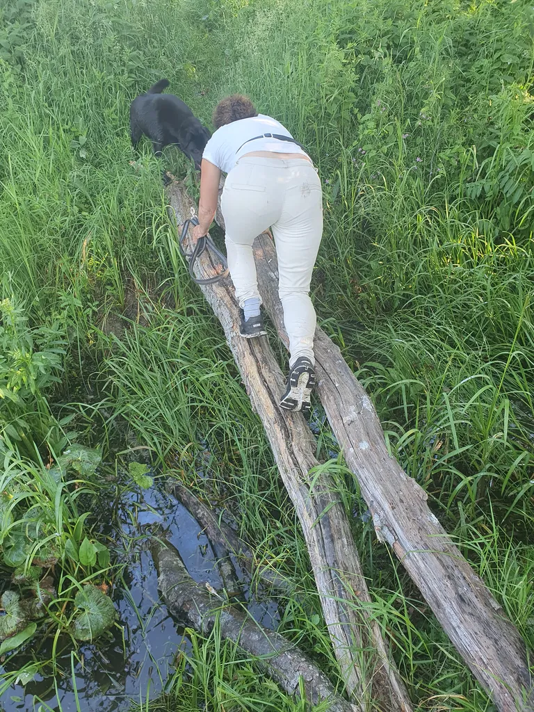 Jänese matkaraja esimesed kilomeetrid on korrastatud, kuid mida rohkem Vorbuse poole, seda enam tuleb ette võrdlemisi ebamugavalt läbitavaid kohti.