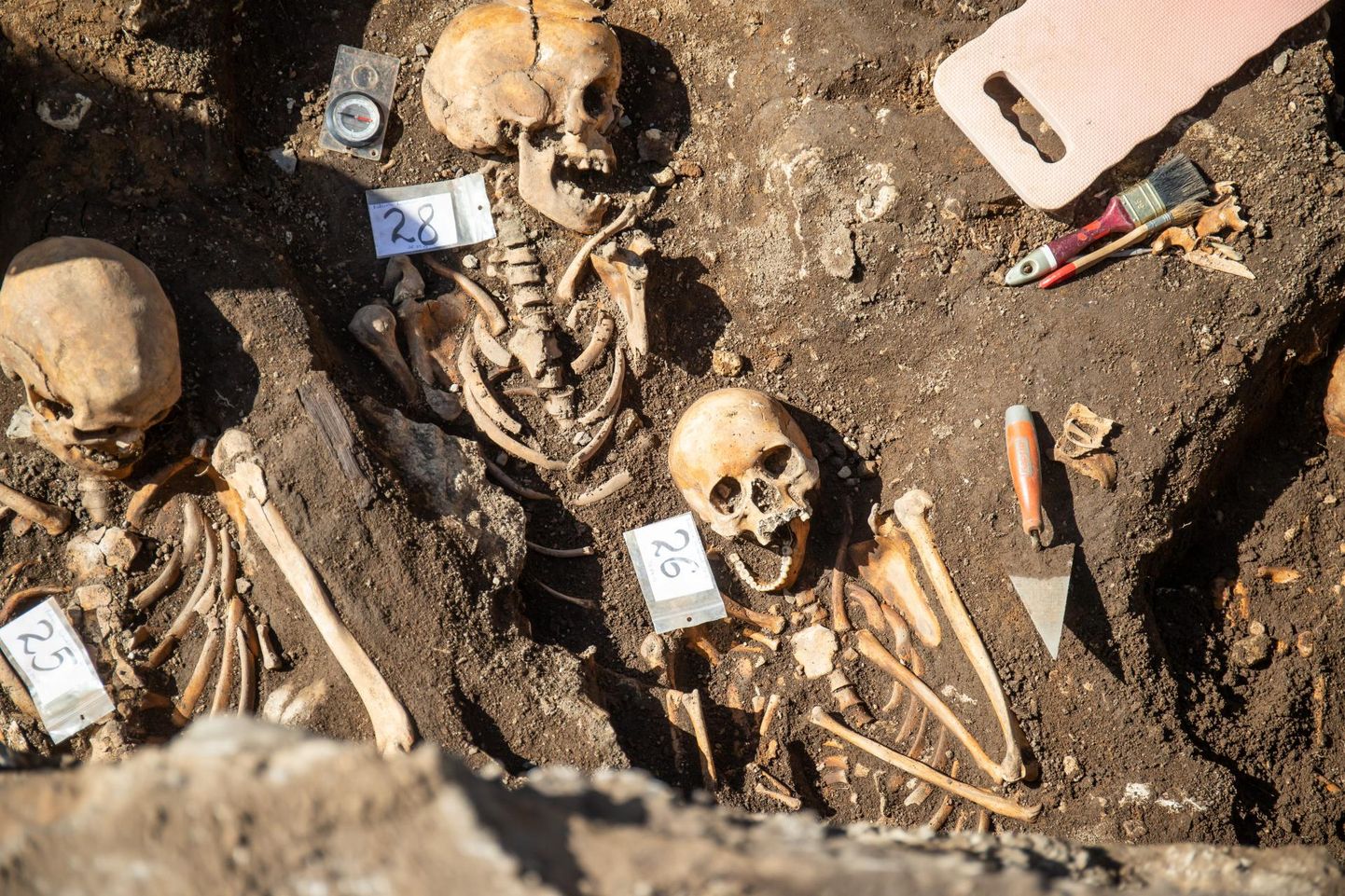Сравнительно хорошо сохранившиеся скелеты находили на улице Пикк и ранее. Скелеты казненных людей были обнаружены впервые.