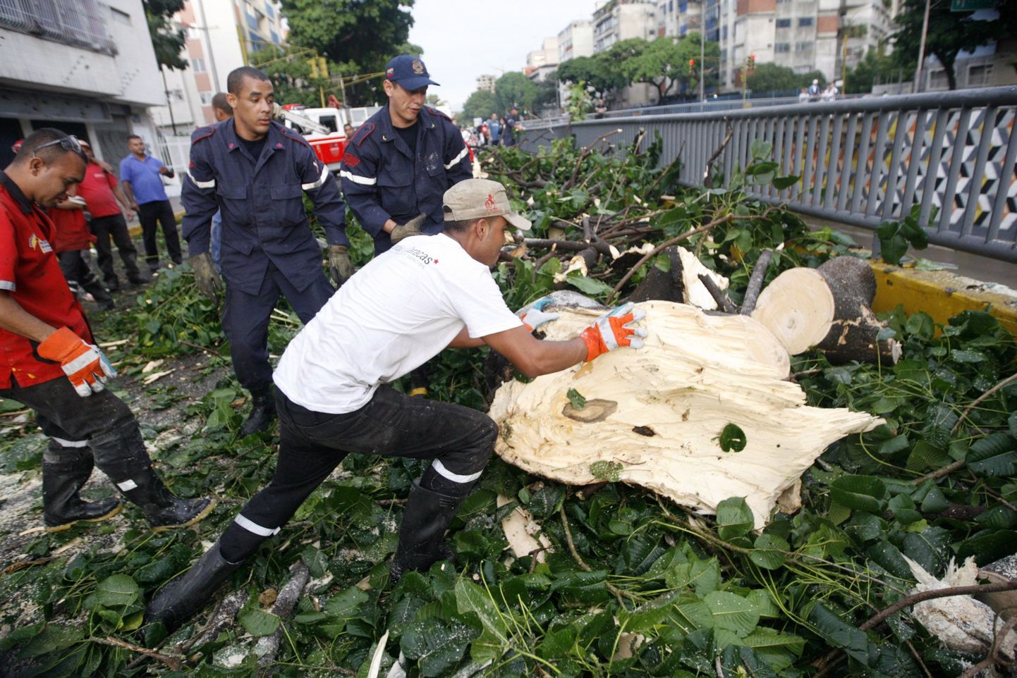 Päästetöötajad tükeldavad Caracases maavärina tõttu tänavale kukkunud puud.