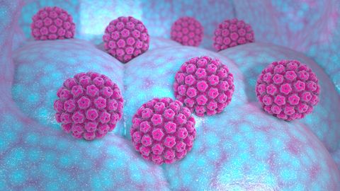 Günekoloog: HPV võib puudutada igas vanuses inimesi, kes on seksuaalselt aktiivsed