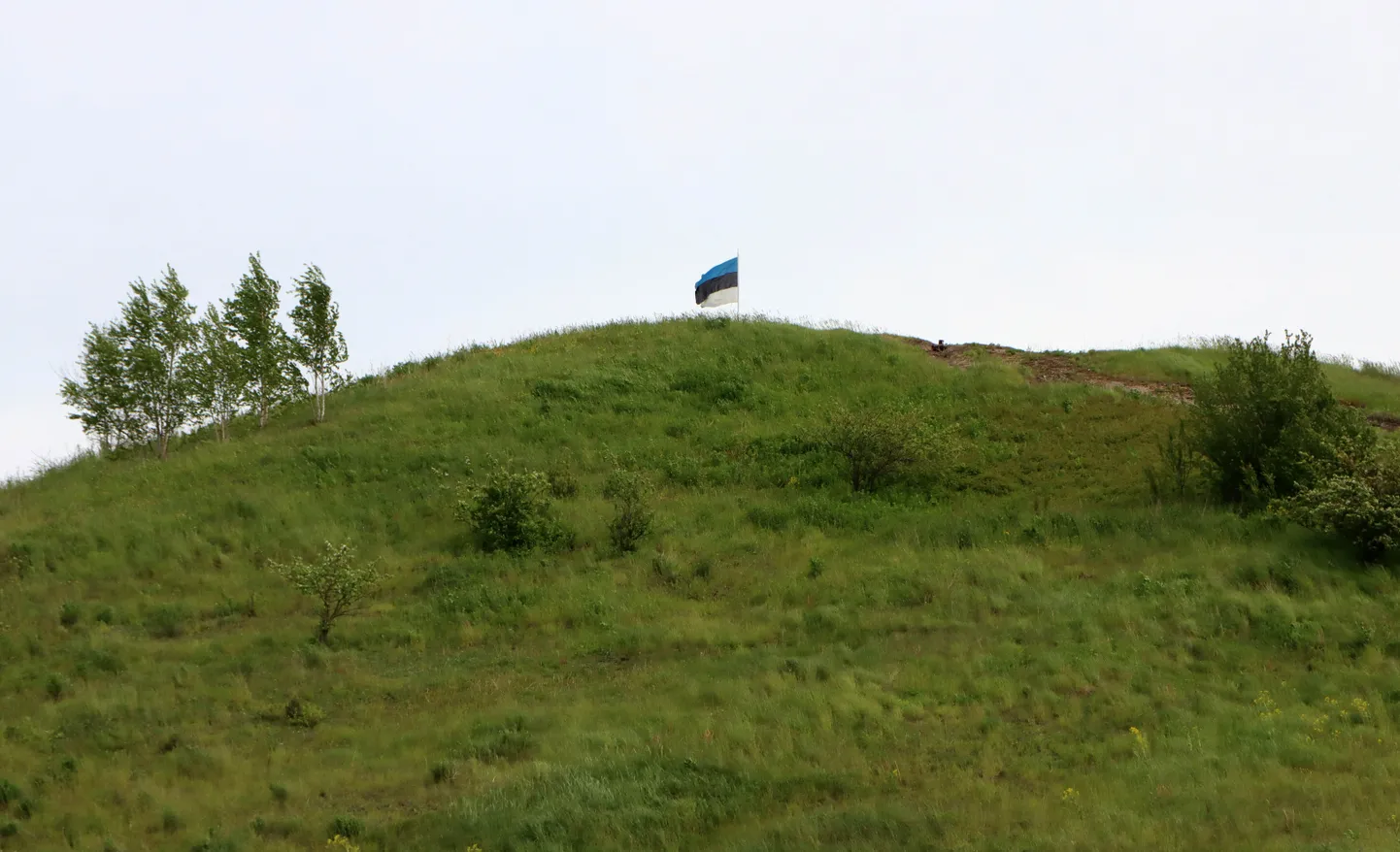Vabariigi aastapäevast saati lehvib Kukruse mäel väiksem lipp kui see, mille Kohtla-Järve ja Toila on sinna kavandatud, ent kes selle sinna heiskas, pole võimudel õrna aimugi.