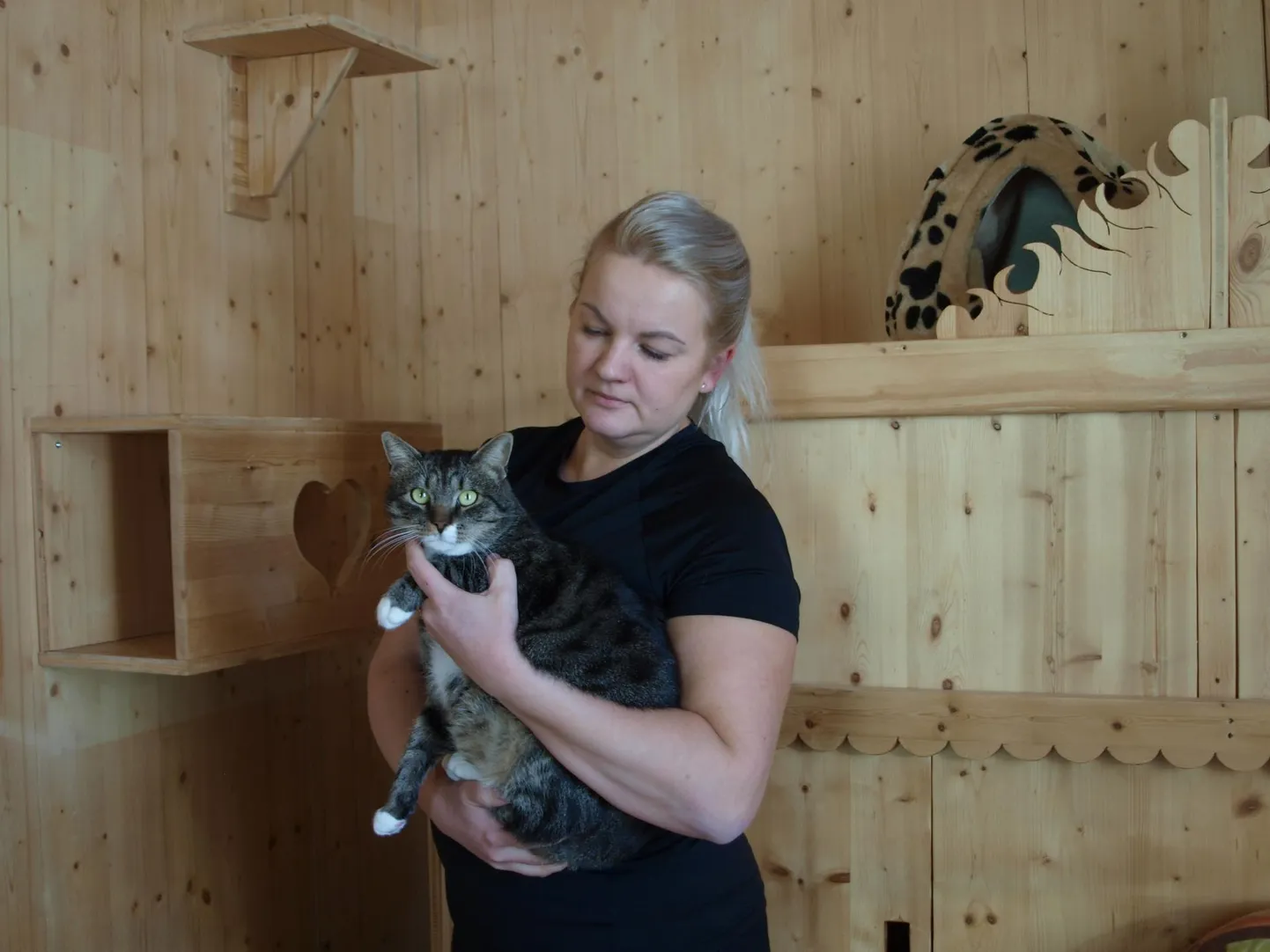 Siiri Mängli ühe oma hoolealusega varjupaiga kassitoas. Taustal paistev kapp ja turnimispaigad on mõistagi tema tehtud.