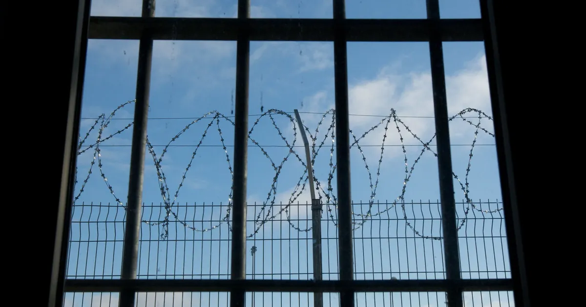 Вячеслав Веснин культінің порно видеосы